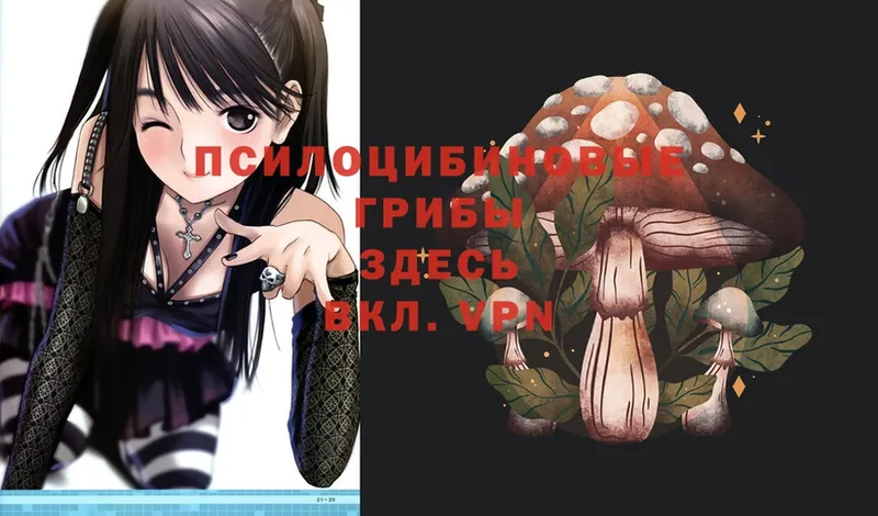 Галлюциногенные грибы Magic Shrooms Жуковский